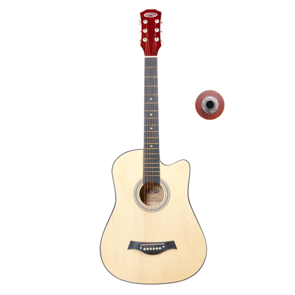 semi acoustic guitar