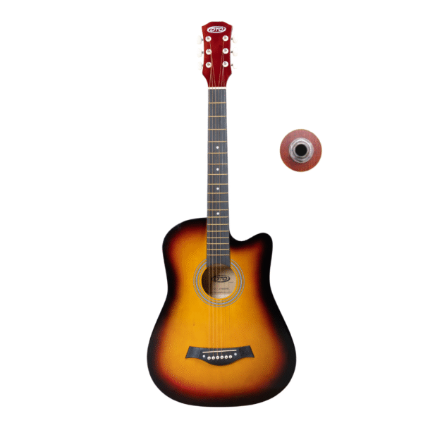 semi acoustic guitar