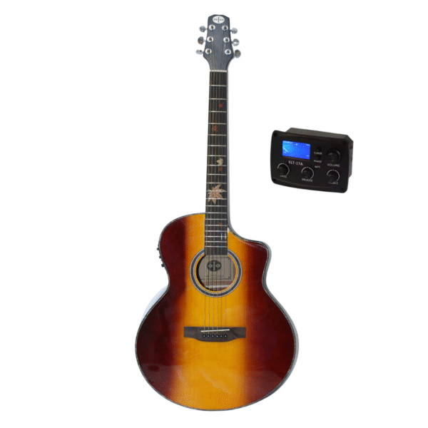 semi acoustic guitar