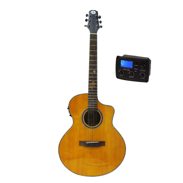 semi acoustic guitar
