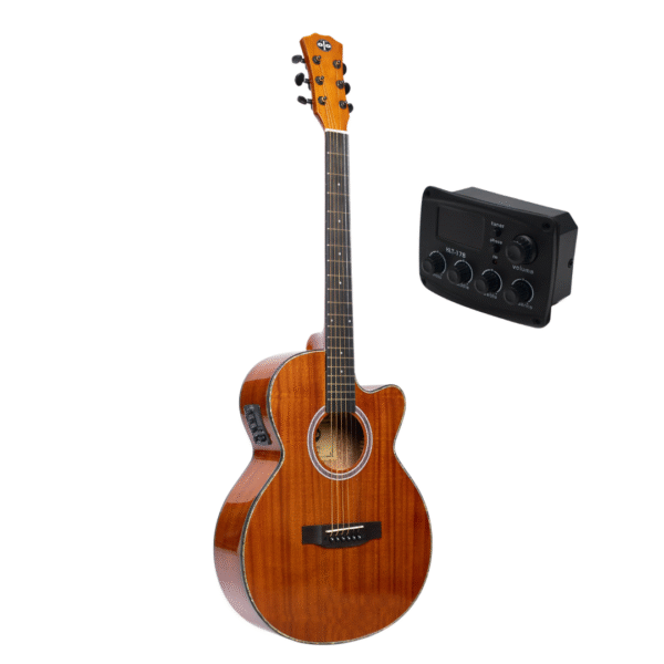 semi acoustic guitar