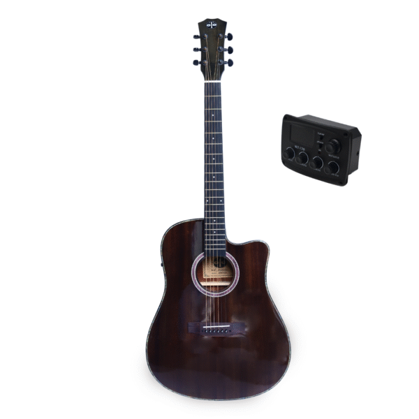 semi acoustic guitar