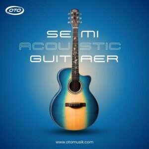 semi-acoustic guitar
