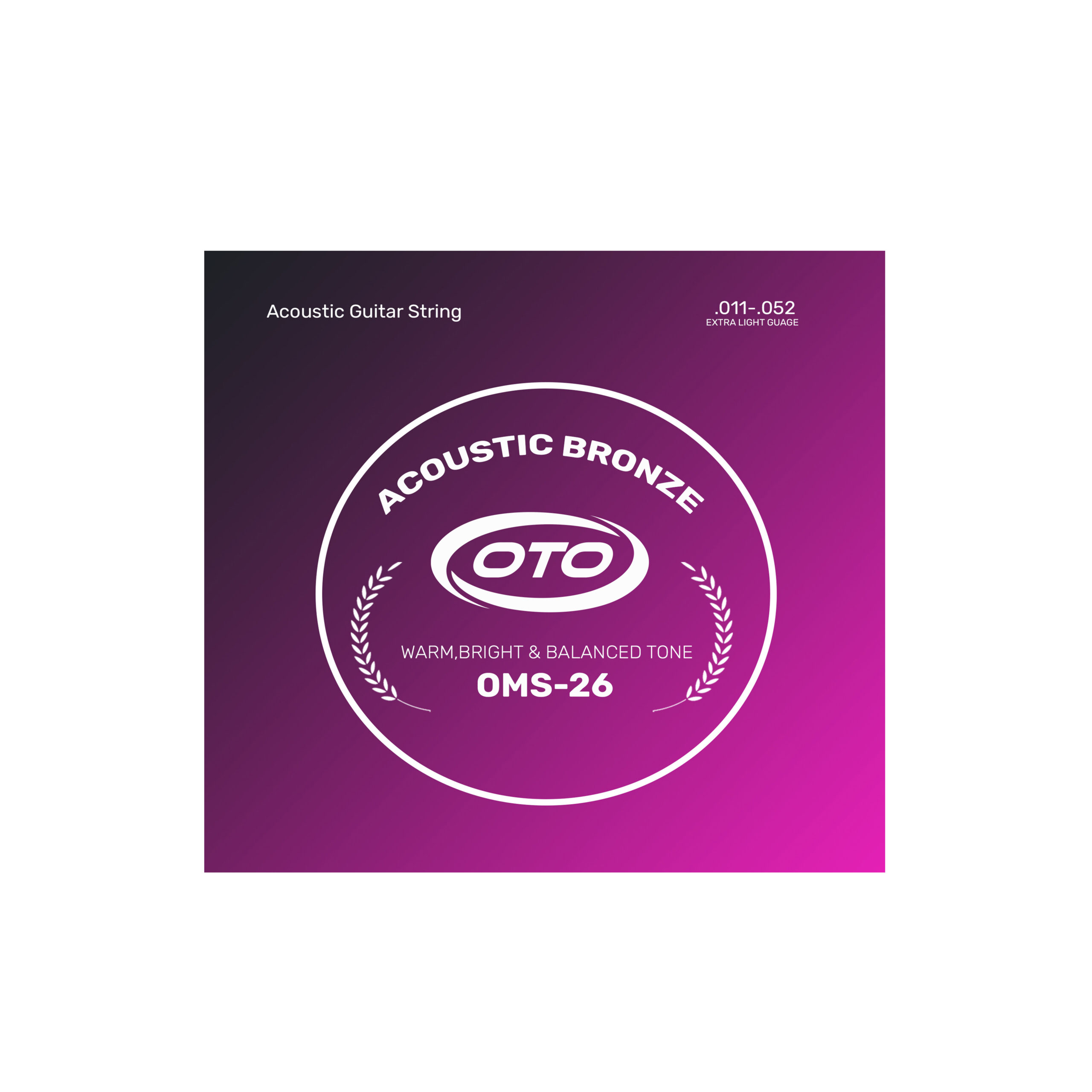 acoustic guitar string