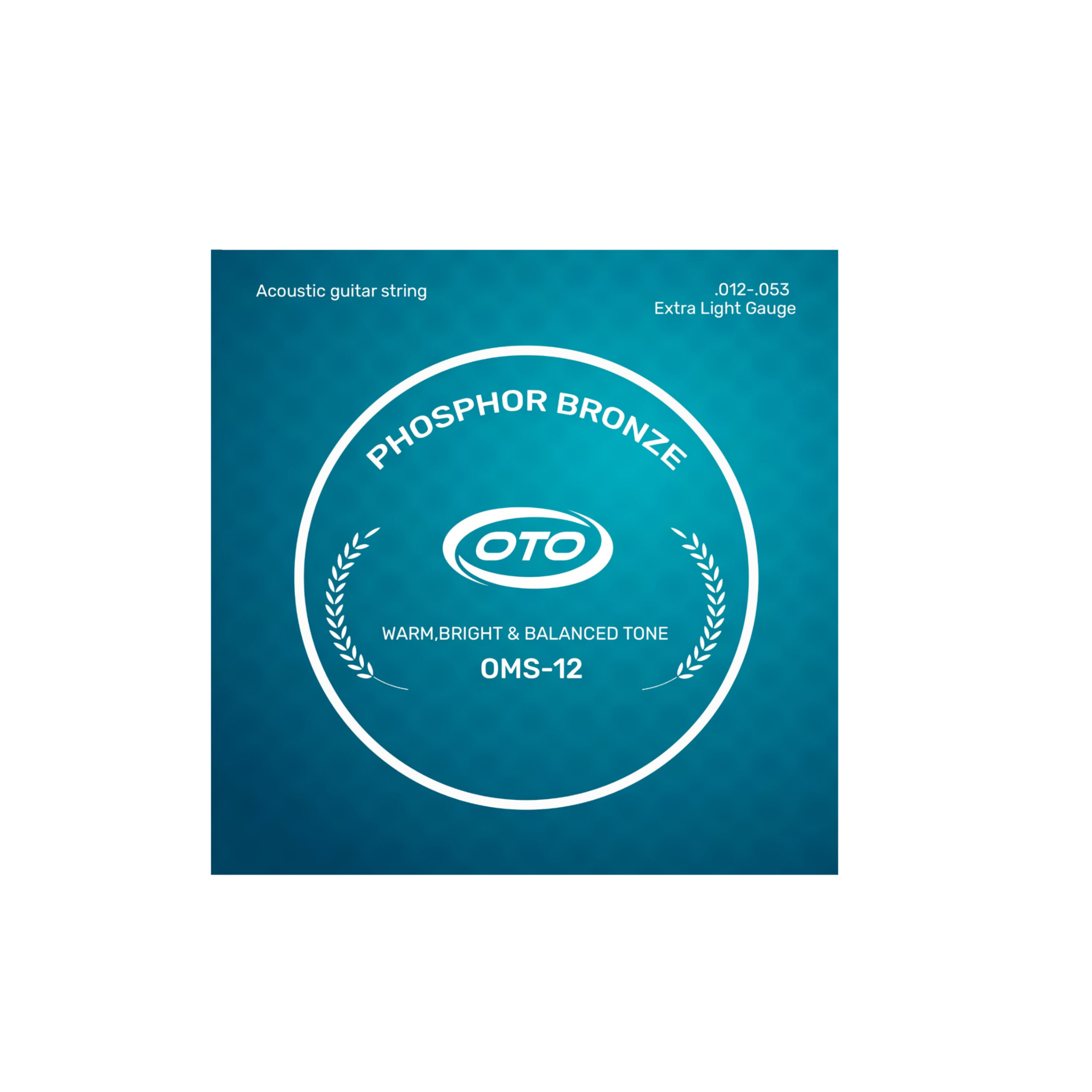 acoustic-guitar-string